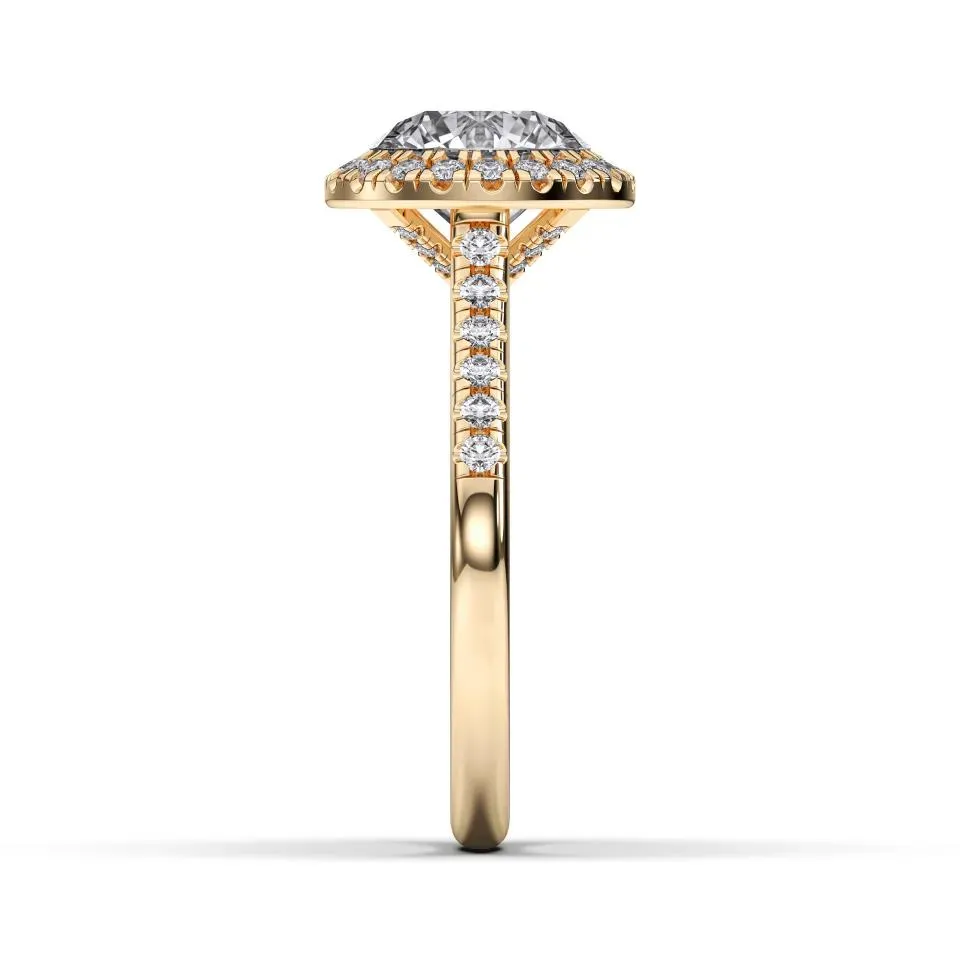 Yellow gold Round Cut Flush Set Halo
