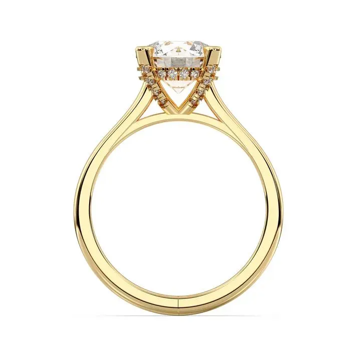Yellow gold Round Cut Hidden Halo Ring