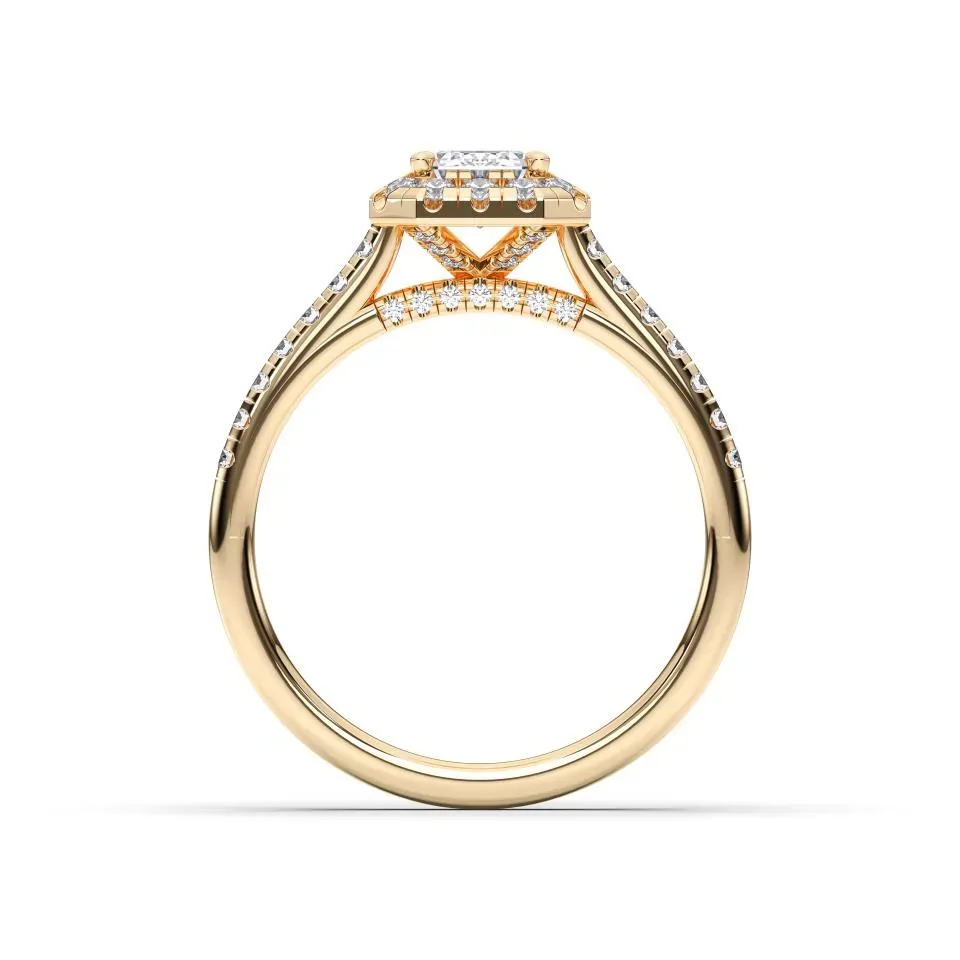 Yellow gold Emerald Cut Flush Set Halo