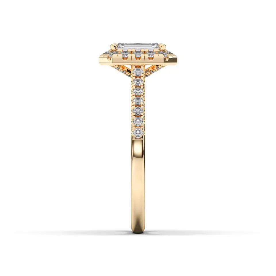 Yellow gold Emerald Cut Flush Set Halo