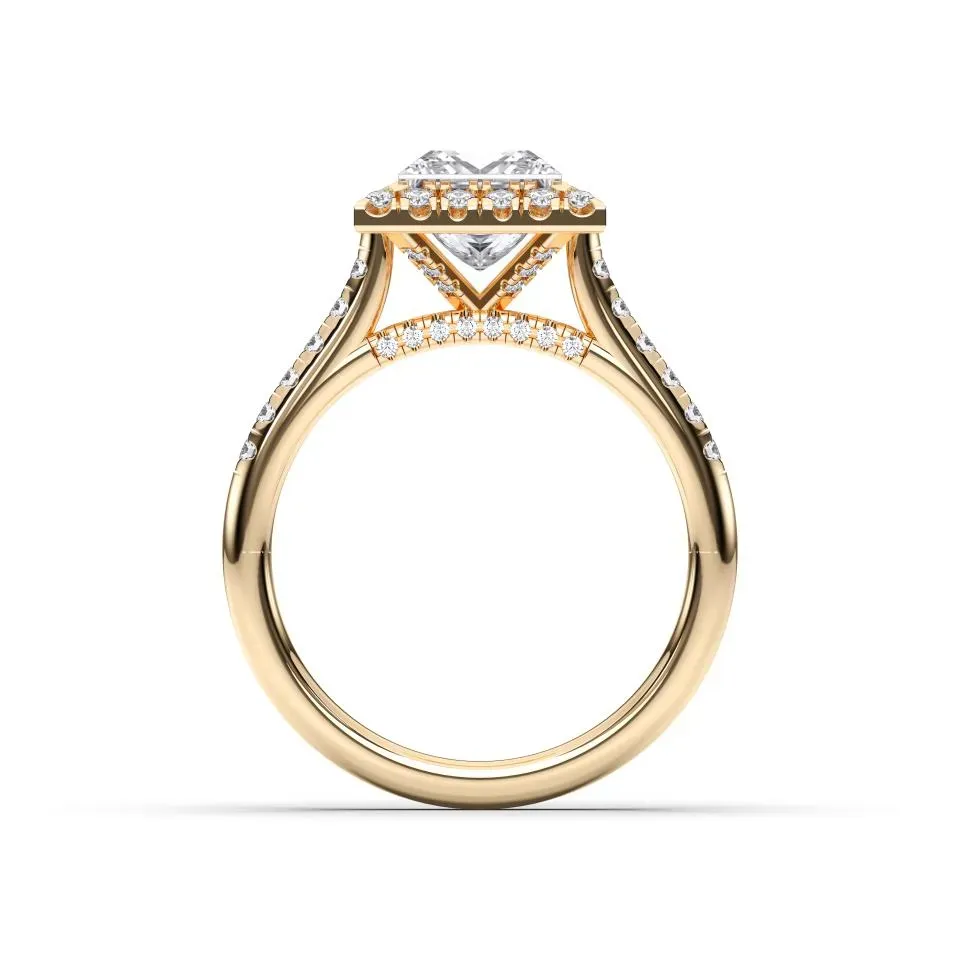 Yellow gold Princess Cut Flush Set Halo